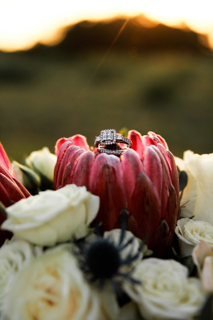 wedding photographer, wedding photography, wedding photo, wedding, nashville wedding photographer, nashville wedding photography, nashville wedding photo, wedding photographer in nashville, wedding photography in nashville, wedding, weddings, wedding photography, bride, bridal photography, bridal portrait, nashville photographer, nashville photography